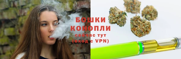 стаф Верхний Тагил